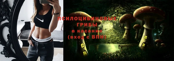 гидра Володарск