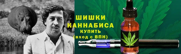гидра Володарск