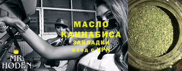 гидра Володарск